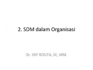 2 SDM dalam Organisasi Dr SRY ROSITA SE