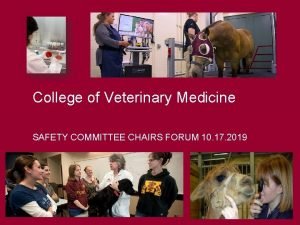 College of Veterinary Medicine SAFETY COMMITTEE CHAIRS FORUM