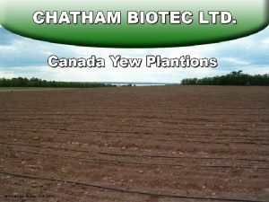 Chatham Biotec Ltd 2005 1997 Canadian Forestry Service