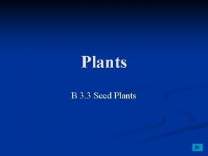 Plants B 3 3 Seed Plants Seed Plants