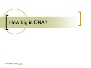 How big is DNA 2016 Paul Billiet ODWS