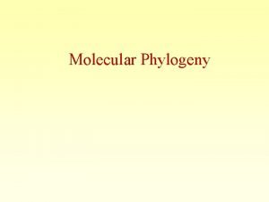 Molecular Phylogeny Phylogeny is the inference of evolutionary