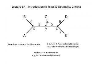 Lecture 6 A Introduction to Trees Optimality Criteria