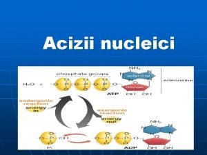 Acizii nucleici Obiectivele 1 2 3 4 5