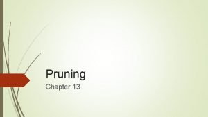 Pruning Chapter 13 Pruning consists in the removal