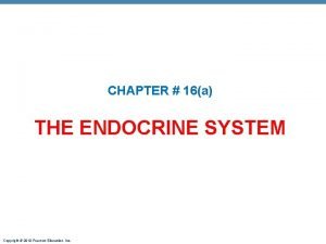 Endocrine system pearson