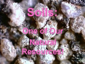 Soils One of Our Natural Resources Some call