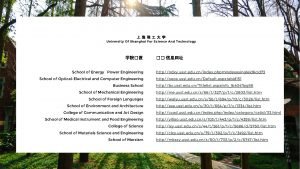 University of shanghai for science and technology
