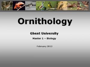 Ornithology Ghent University Master 1 Biology February 2012