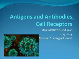 Antigens and Antibodies Cell Receptors Maja Markovi 2