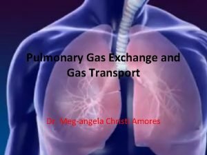 Pulmonary Gas Exchange and Gas Transport Dr Megangela