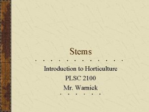 Stems Introduction to Horticulture PLSC 2100 Mr Warnick