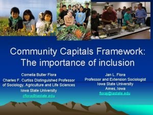 Community Capitals Framework The importance of inclusion Cornelia