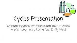 Potassium cycle