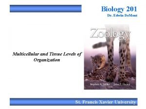 Biology 201 Dr Edwin De Mont Multicellular and