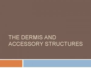 Accessory structure of the skin