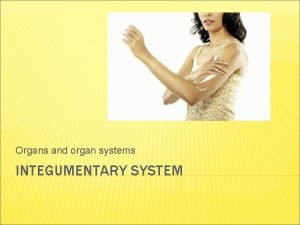 Organs and organ systems INTEGUMENTARY SYSTEM ORGANS OF