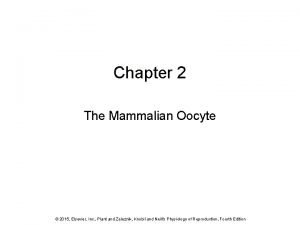 Chapter 2 The Mammalian Oocyte 2015 Elsevier Inc