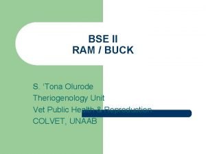 BSE II RAM BUCK S Tona Olurode Theriogenology