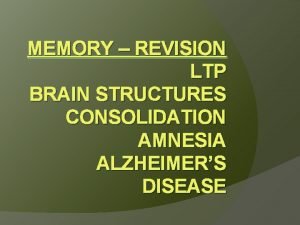 MEMORY REVISION LTP BRAIN STRUCTURES CONSOLIDATION AMNESIA ALZHEIMERS