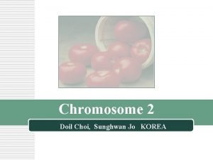 Chromosome 2 Doil Choi Sunghwan Jo KOREA Cytological