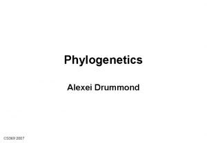 Phylogenetics Alexei Drummond CS 369 2007 Friday quiz