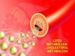 LIPID METABOLISM CHOLESTEROL METABOLISM Functions of Cholesterol a