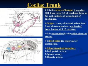 Coeliac Trunk It is the artery of foregut