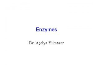 Enzymes Dr Aelya Ylmazer What are Enzymes Enzymes