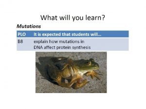 Inversion mutation