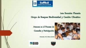 1 era Reunin Plenaria Grupo de Bosques Biodiversidad