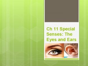 Ch 11 Special Senses The Eyes and Ears