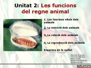 Nutricio dels animals
