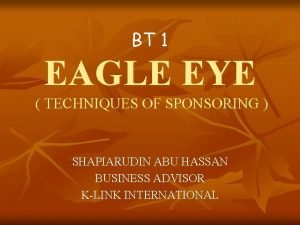 Eagle eye anatomy