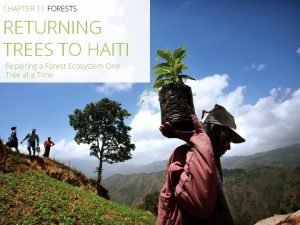 CHAPTER 11 FORESTS RETURNING TREES TO HAITI Repairing