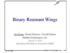 Binary Resonant Wings Joe Evans Naomi Montross Gerald