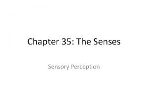 Chapter 35 The Senses Sensory Perception Sensory Systems