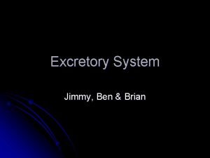 Excretory System Jimmy Ben Brian The Excretory system