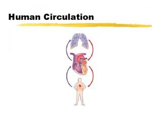 Human Circulation The Need for Circulation z All