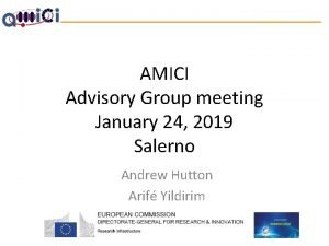 AMICI Advisory Group meeting January 24 2019 Salerno