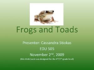 What are some interesting facts about frogs