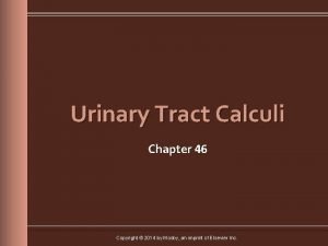 Urinary Tract Calculi Chapter 46 Copyright 2014 by