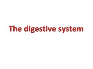 The digestive system The digestive system consists of