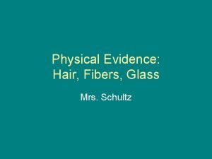 Physical Evidence Hair Fibers Glass Mrs Schultz Types