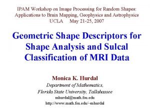 IPAM Workshop on Image Processing for Random Shapes