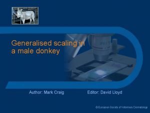 Generalised scaling in a male donkey Author Mark