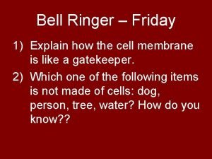 Cell theory bell ringer