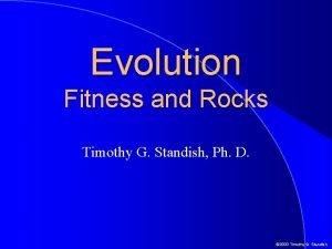 Evolution Fitness and Rocks Timothy G Standish Ph