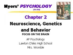 Corpus callosum definition and function