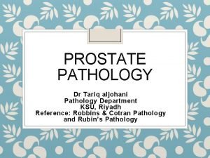 Prostate pathology